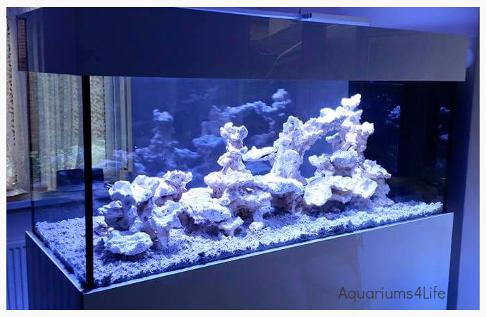 Aquariums4Life Walkround Room Divider aquarium steel frame marine 