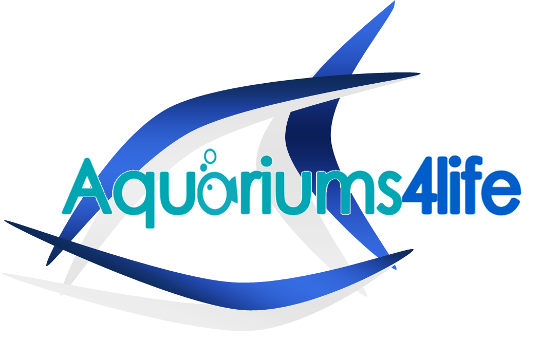 Marine Aquariums by Aquariums4Life