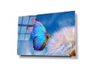 blue morpho butterfly and dandelion macro1stGlassArt UV printed Glass wall art poster art work wall décor