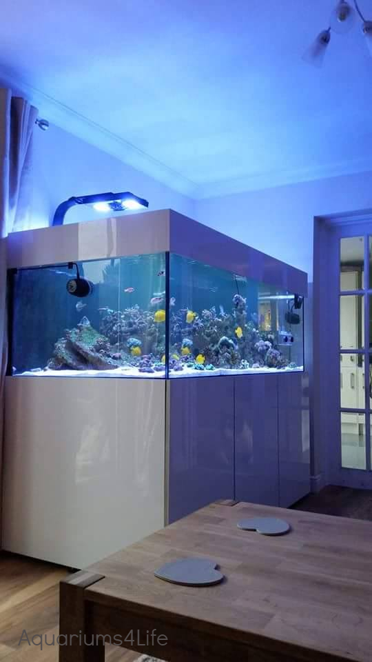 Contemporary Gloss Marine Aquarium and steel framed stand in High Gloss white Matching open pelmet by Aquariums4Life