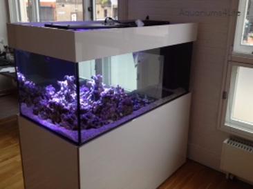 aquariums4life walkround marine aquarium bespoke