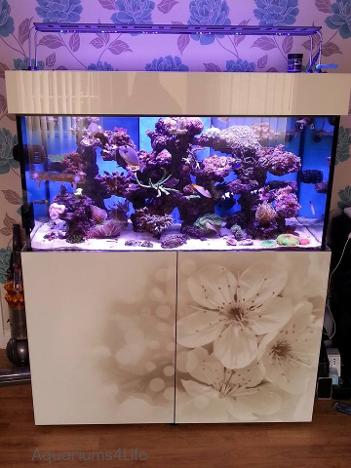 Custom printed aquarium custom Aquariums4Life