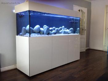 Aquariums4Life bespoke aquarium manufacturers topical gloss