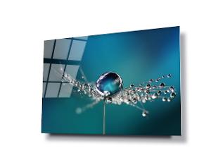 GLASS WALL ART AQUARIUMS4LIFE MACRO DANDELION DEW WALL PHOTOGRAPH ABSTRACT LARGE