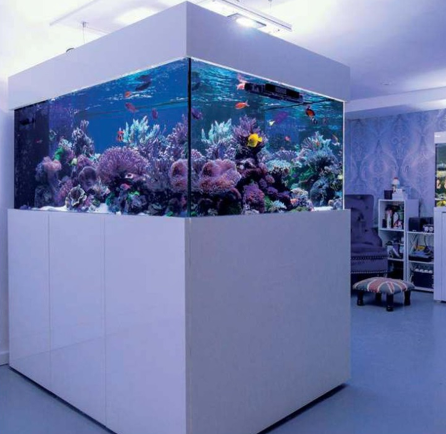 aquariums4life large luxury custom build