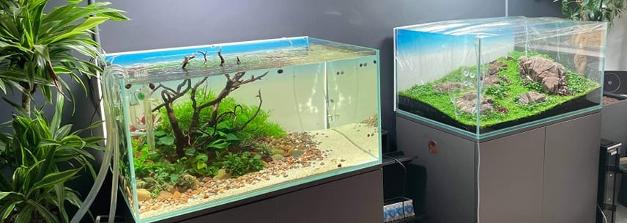 OPTI WHITE AQUASCAPE AQUARIUM OPTI WHITE CLEAR CABINET