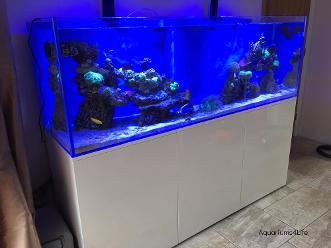 Aquariums4Life marine Braceless Aquarium Steel Frame