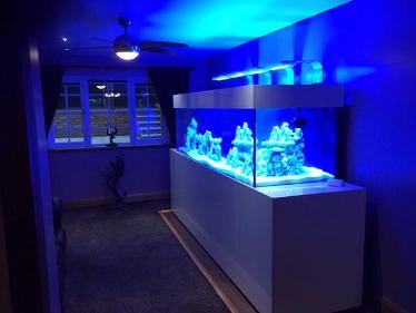 Custom Designed AQuairum cabinet. In situ build by Aquariums4Life