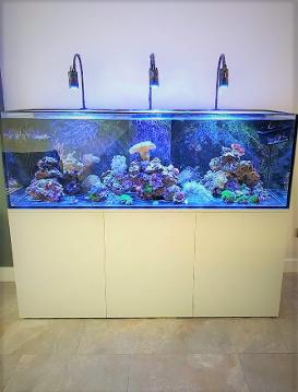 Aquariums4Life Braceless steel framed tank