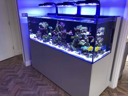 AquaVreef Steel framed Aquariums4Life