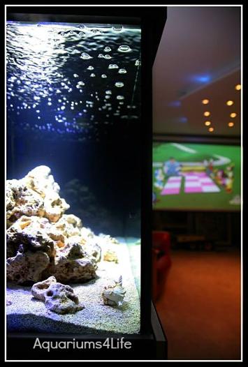 Aquariums4Life Gloss aquarium marine tropical custom built