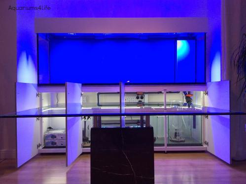 Aquarium4Life bespoke aqarium design back lit aquarium and steel framed cabinet with white powder coated