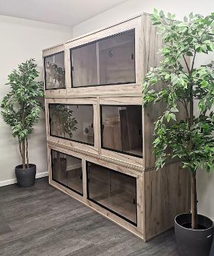viva vivariums full wall set up multi purchase cheapest