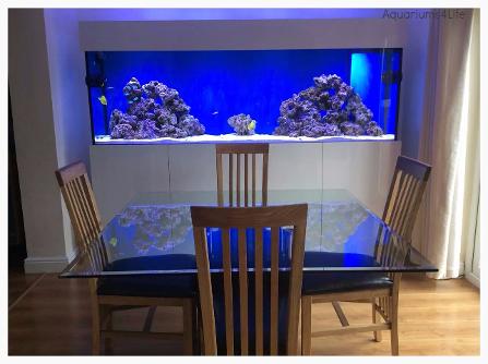 Aquariums4Life high gloss aquarium stand weir