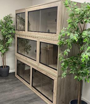 viva vivarium wall design 