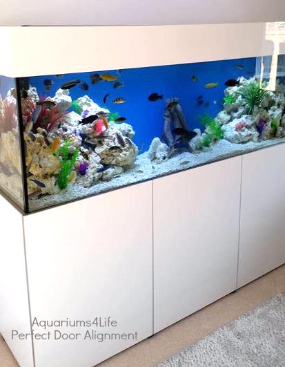 Tropical Aquarium with Ocean Rock and coral sand Steel Framed aquarium cabinet custom built perfect doors white gloss shiney and perfect by Aquariums4Life