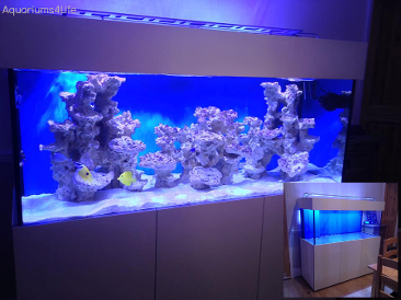 Aquariums4Life aquarium manufacturer bespoke large aquariums