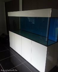 man cave aquairum designed tank by Aquariums4Life gloss cabinet blue background 30