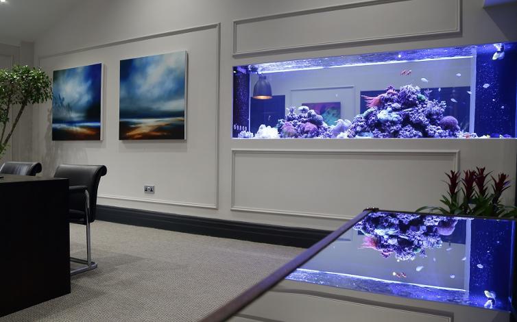 aquariums4life custom bespoke large luxury fishtank