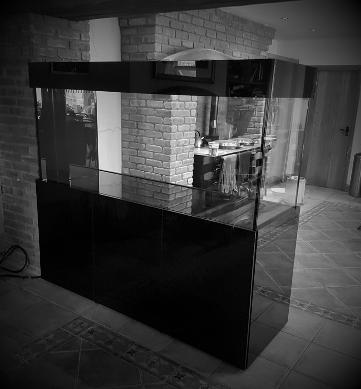 walk round gloss black aquarium with steel frame 