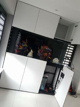Aquariums4Life Custom Aquarium