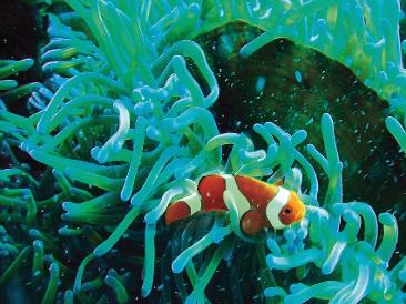 aquariums4life