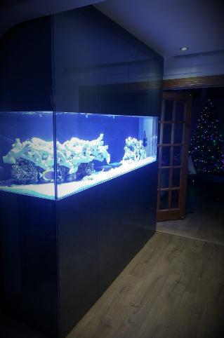 Full Floor to ceiling aquarium design bespoke tank for marine by Aquariums4Life