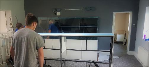 aquariums4life aquarium on sight build 