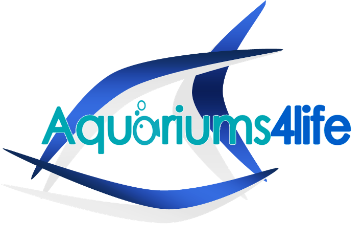 Aquariums4Life Steel framed aquariums large commercial built aquariums 